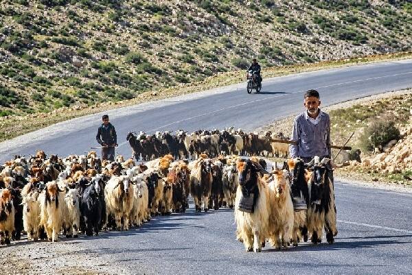 خاموشی انجمن عکاسان، آغاز خانه عکس؛ عشایر در قاب ماندگار می شوند