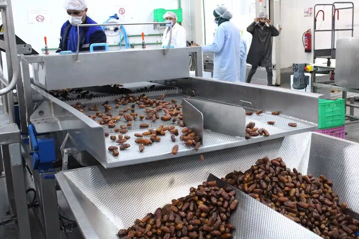 دشتستان در مسیر تکمیل زنجیره ارزش خرما؛ صنایع تبدیلی جان میگیرند دشتستان در مسیر تکمیل زنجیره ارزش خرما؛ صنایع تبدیلی جان میگیرند