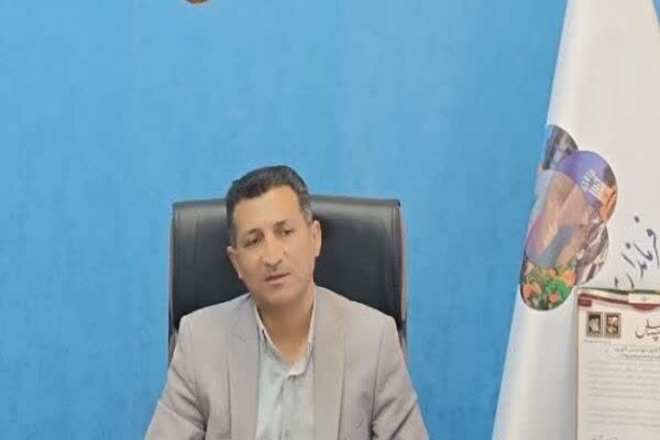 تحلیل خبر: رایزنی برای تسهیل صادرات خرما از بروات؛ تعرفه‌های گمرکی بازنگری می‌شود | مهر - کد f1fa