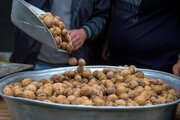 جشنواره گردو در کلور؛ نماد همبستگی اقوام و رونق گردشگری