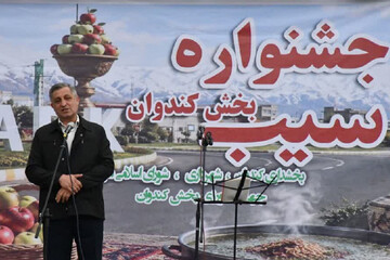 توسعه درجه‌بندی و بسته‌بندی، لازمه اقتصادی‌تر شدن تولید سیب میانه
