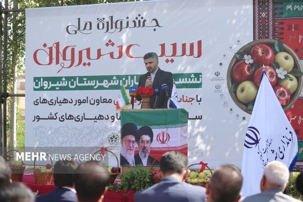 سیب شیروان؛ از باغهای پربار تا زنجیره ارزش ناتمام