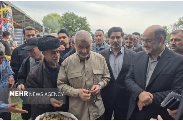 ثمرین زیر سایه طلای سبز جان گرفت؛ استقبال ۸۰ هزار نفری از جشنواره گردو