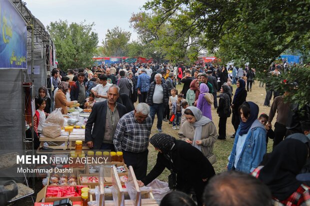 جشنواره گردو در کلور؛ نماد همبستگی اقوام و رونق گردشگری