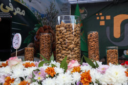 سومین جشنواره ملی بادام درچهارمحال و بختیاری