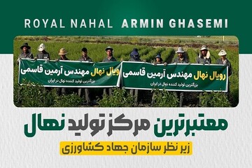 رویال نهال؛ قطب تولید نهال در ایران