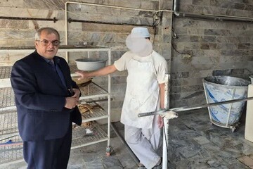 فرماندار البرز بر تداوم نظارت میدانی بر نانوایی‌های الوند تأکید کرد