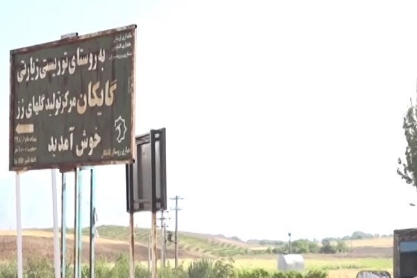 قصه گُلکاران «گایکان»؛ از حیاط خانه تا بازارهای آنسوی مرز قصه گُلکاران «گایکان»؛ از حیاط خانه تا بازارهای آنسوی مرز