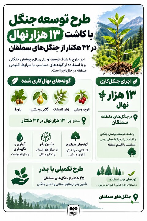 اینفوگرافیک؛ کاشت ۱۳ هزار نهال برای توسعه جنگلهای سملقان