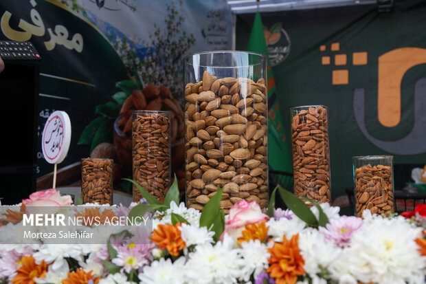 سومین جشنواره ملی بادام درچهارمحال و بختیاری