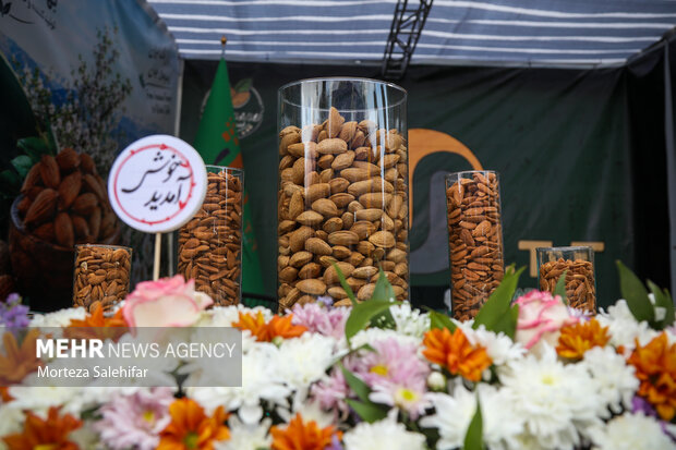 سومین جشنواره ملی بادام درچهارمحال و بختیاری