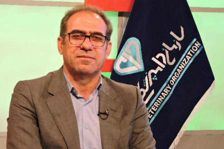 سالانه بیش از ۸ میلیون نوبت‌سر دام در ایلام واکسیناسیون انجام می شود