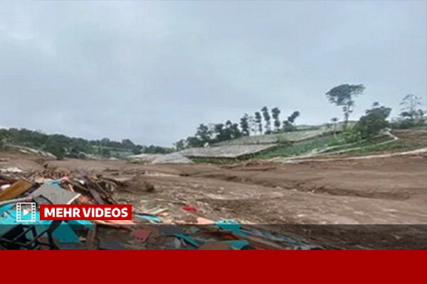ساجدینیا: ۵۶۸ حادثه طبیعی در سال ۱۴۰۴ جان ۱۴۷ نفر را گرفت ساجدینیا: ۵۶۸ حادثه طبیعی در سال ۱۴۰۴ جان ۱۴۷ نفر را گرفت