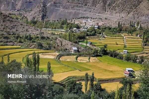 کشاورزی گیلان در دوراهی سنت و فناوری؛ نسل چهارم از راه میرسد؟