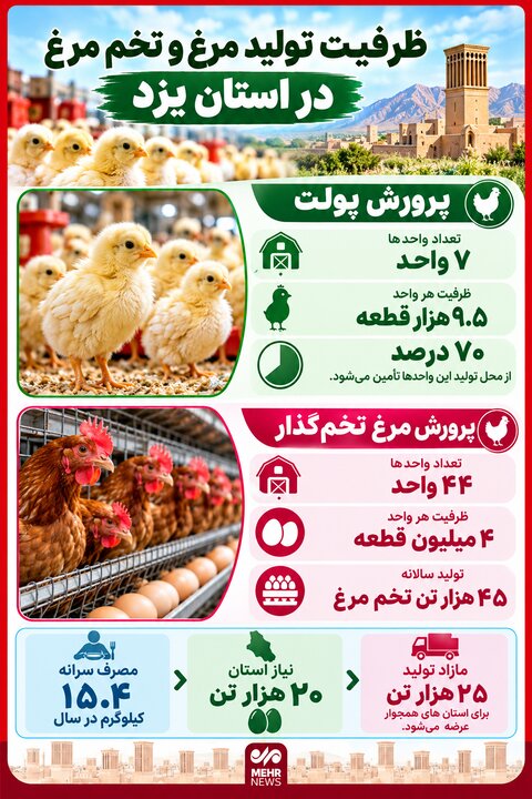 اینفوگرافیک؛ تولید سالانه ۴۵ هزار تن تخم‌مرغ در استان یزد