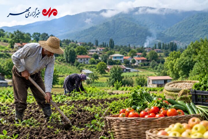 کشاورزی گیلان در دوراهی سنت و فناوری؛ نسل چهارم از راه میرسد؟