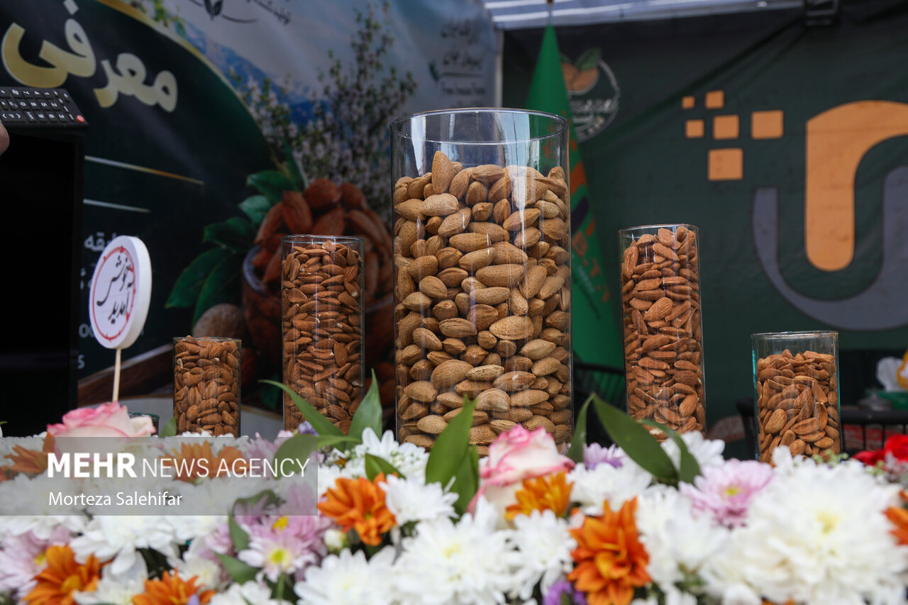 سومین جشنواره ملی بادام درچهارمحال و بختیاری