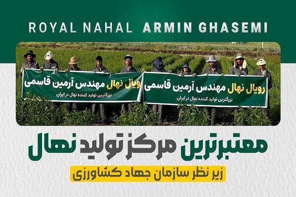 رویال نهال؛ قطب تولید نهال در ایران
