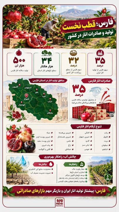 اینفوگرافیک؛ فارس قطب نخست تولید و صادرات انار کشور
