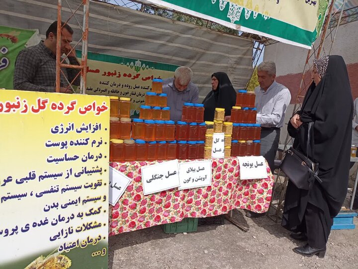 عسل و گردوی سوادکوه در جستجوی بازار