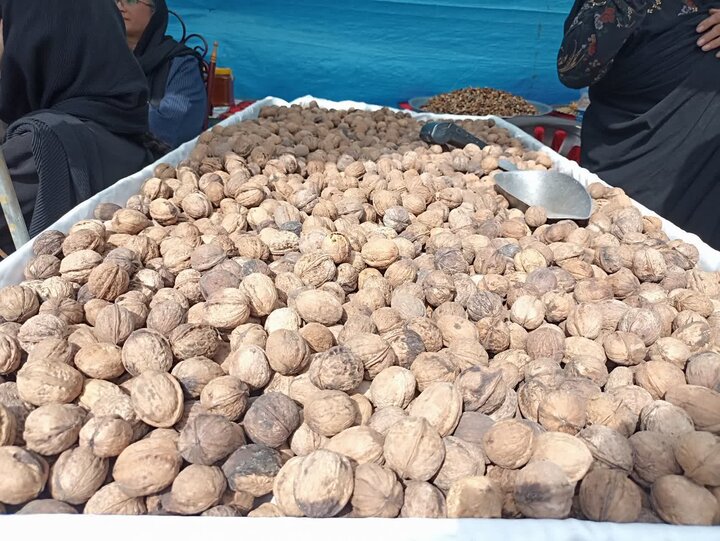 عسل و گردوی سوادکوه در جستجوی بازار