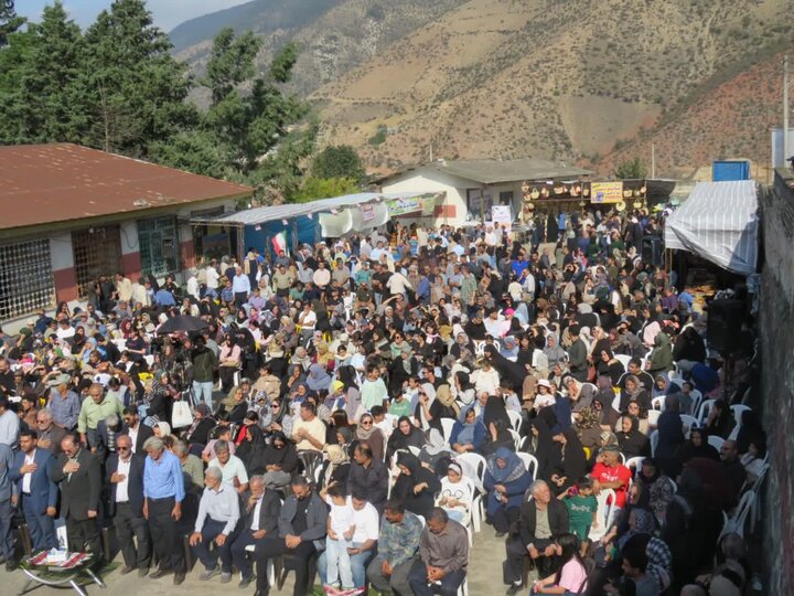 عسل و گردوی سوادکوه در جستجوی بازار