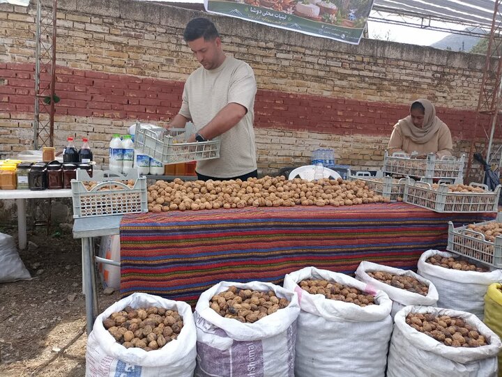 عسل و گردوی سوادکوه در جستجوی بازار