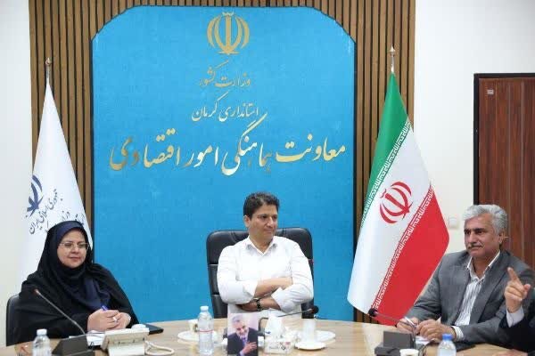 ضرورت رویکرد هدفمند برای توسعه اشتغال زنان در استان کرمان ضرورت رویکرد هدفمند برای توسعه اشتغال زنان در استان کرمان