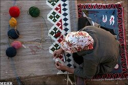 سادات محمودی دنا؛ هزاران نقش گلیم، گرفتار کلاف بازار و بیمه