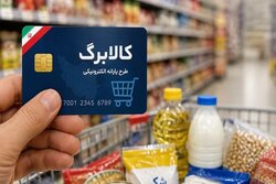 واریز ۱۷ هزار و ۵۶۰ میلیارد تومان به حساب مجری طرح افزایش کالابرگ