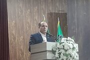 نوری قزلجه: امسال حداقل یک میلیون تن سیب باید صادر شود