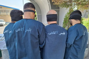 دستگیری ۲۷ سارق و کشف ۵۷ فقره سرقت در همدان