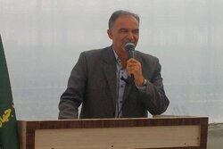 ابراهیمی: خروج ماهانه ۲ هزار رأس گوسفند از شیروان متوقف می‌شود