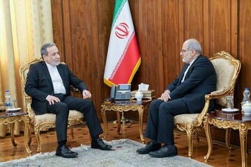 تاکید عراقچی بر بهره‌گیری از ظرفیت‌های دیپلماسی