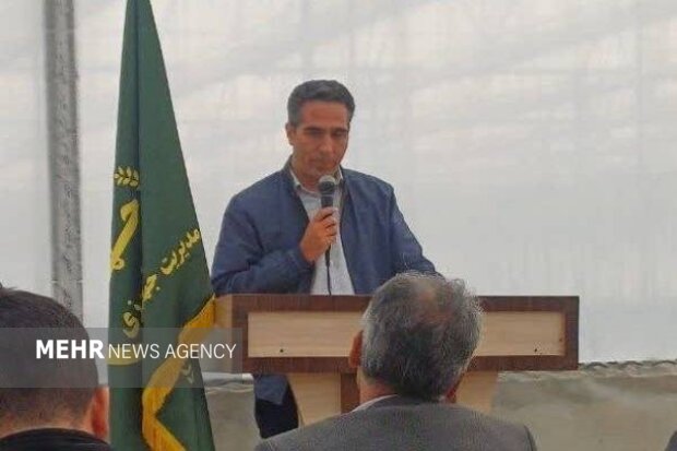 میرزامحمدزاده: شیروان در حوزه کشاورزی جایگاه ممتازی دارد