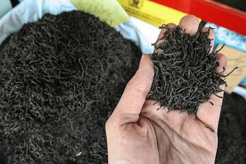 شناسایی شبکه تقلبی عرضه چای در شبستر