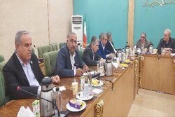 جنگلداری اجتماعی؛ مسیر پیوند حفاظت از منابع طبیعی و معیشت روستاییان