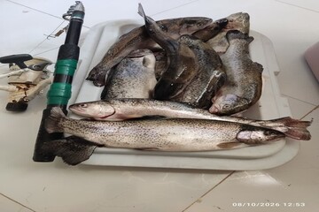 متخلفان صید غیرمجاز در شهرستان کوهرنگ دستگیر شدند 