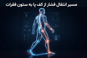 نقش کلیدی اسکن کامپیوتری کف پا در پیشگیری از آسیب‌های ستون فقرات