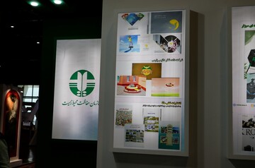 بازگیر: صنایع خلاق پل مشارکت مردم در حل مسائل محیط‌زیستی‌اند