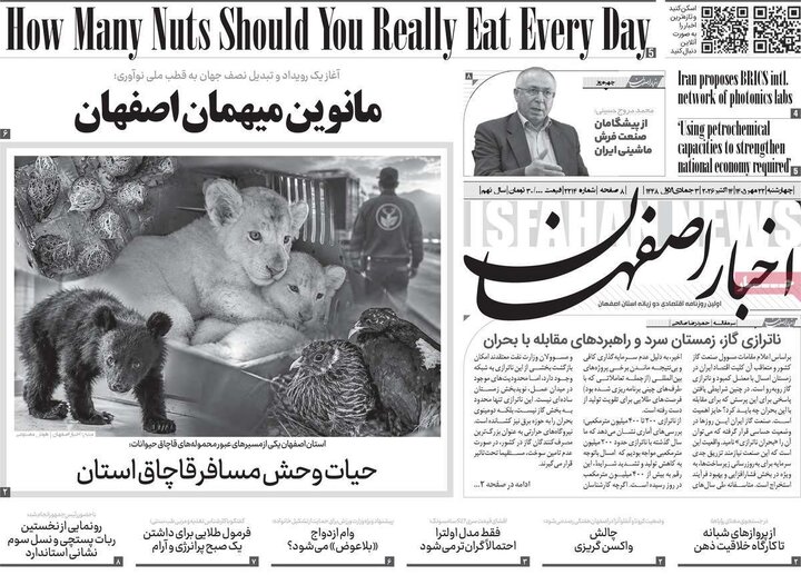روزنامه