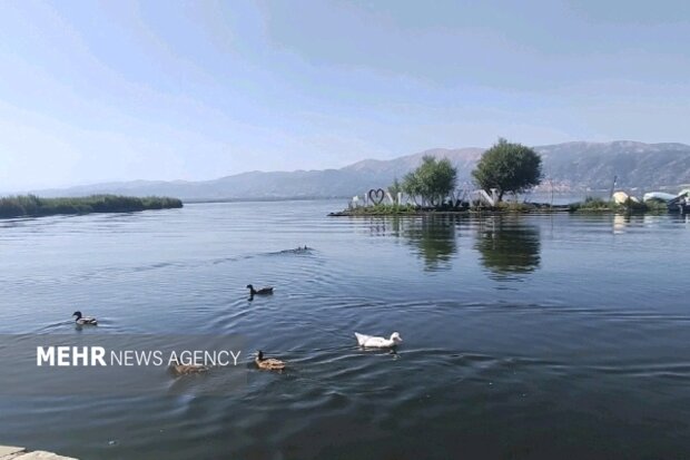زریبار ایستگاه امن پرندگان مهاجر در معرض تهدید؛ شناسایی ۱۵۰ گونه پرنده