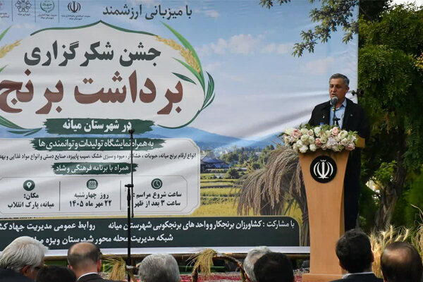 کشت برنج در ۸ هزار هکتار شالیزار آذربایجان‌شرقی