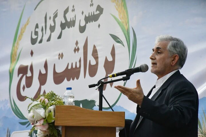 گردش مالی ۵ همتی برنج میانه؛ ضرورت سرمایه‌گذاری در صنایع تبدیلی