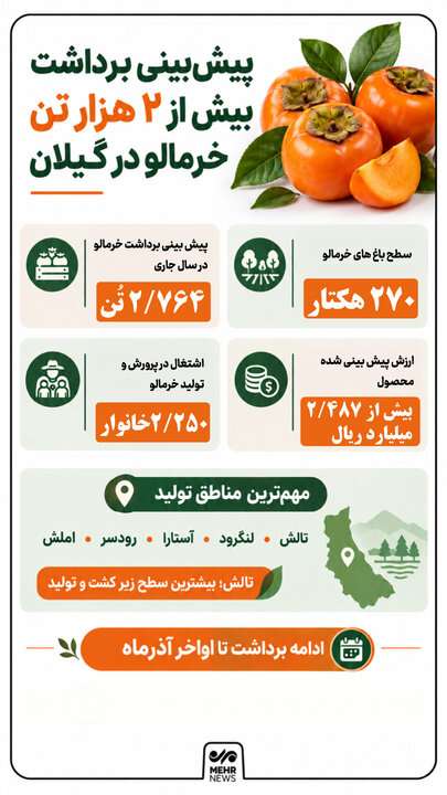 اینفوگرافیک؛ پیش بینی برداشت بیش از ۲ هزار تن خرمالو در گیلان