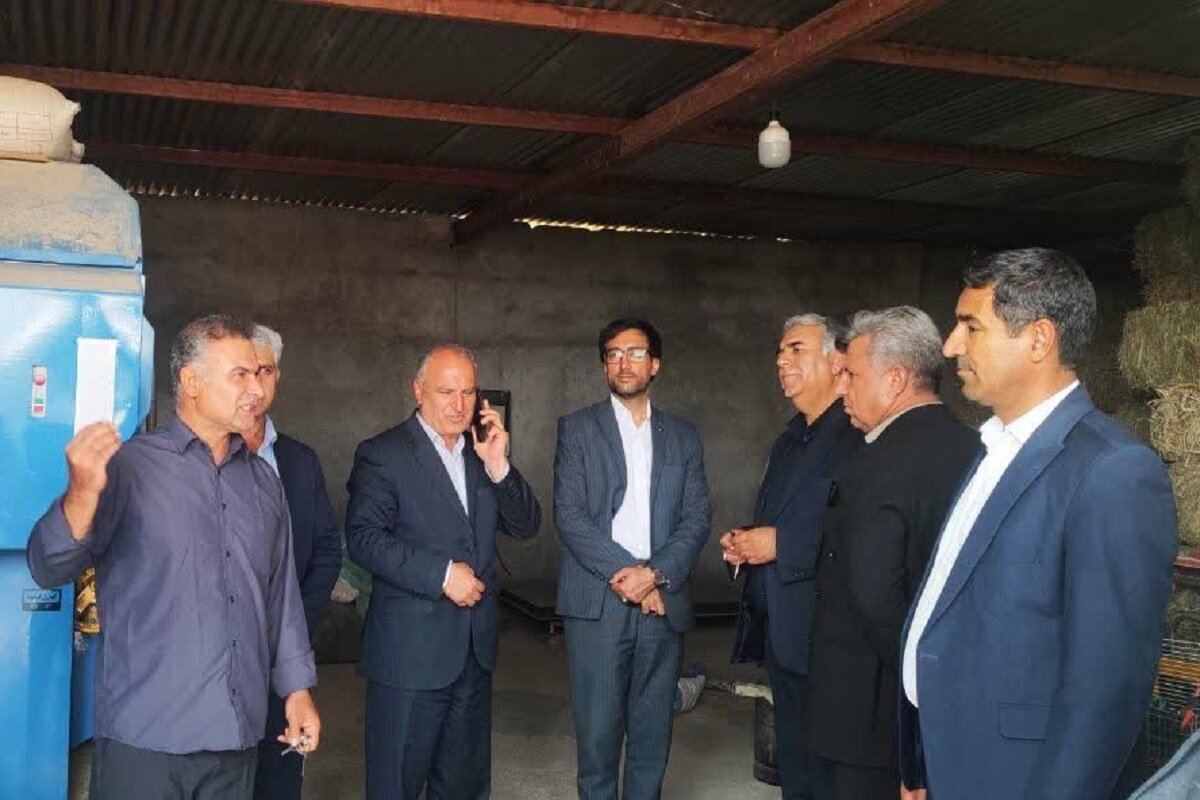 بررسی ظرفیت‌های سرمایه‌گذاری و اشتغال‌زایی پرورش شترمرغ در رومشکان