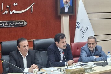 حسین‌زاده: اعتبارات روستایی باید به خلق ثروت و اشتغال پایدار برسد