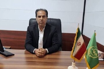 ذاکری: رودان برای توسعه گلخانه‌ها به حمایت وزارت نیرو نیاز دارد
