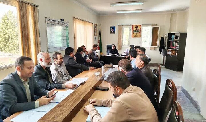 تشدید نظارت بر بازار مرغ و نان بروجرد؛ نرخنامه مصوب در دستور کار است