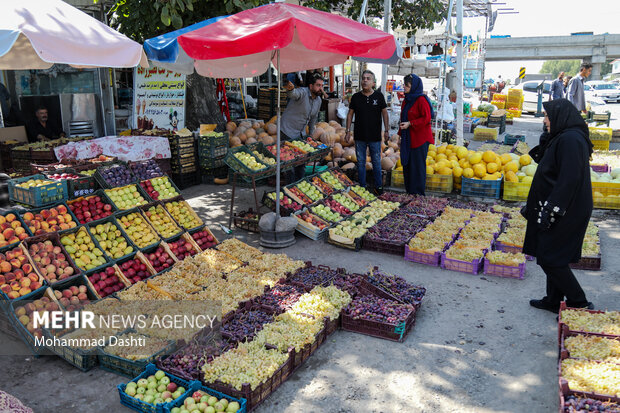 بازار داغ انگور در اردبیل